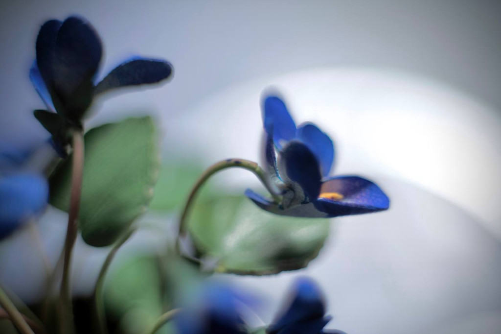 photo_2025-10-17_22-15-44.jpg photo_2025-10-17_22-15-44.jpg