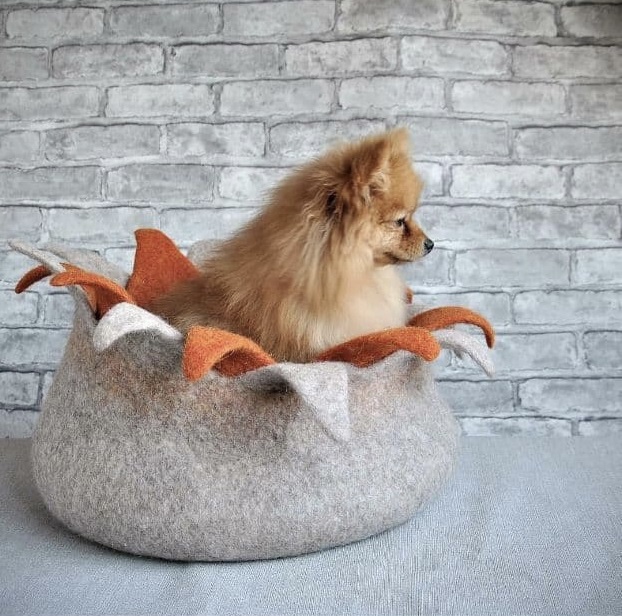 IMG_3583.jpeg IMG_3583.jpeg