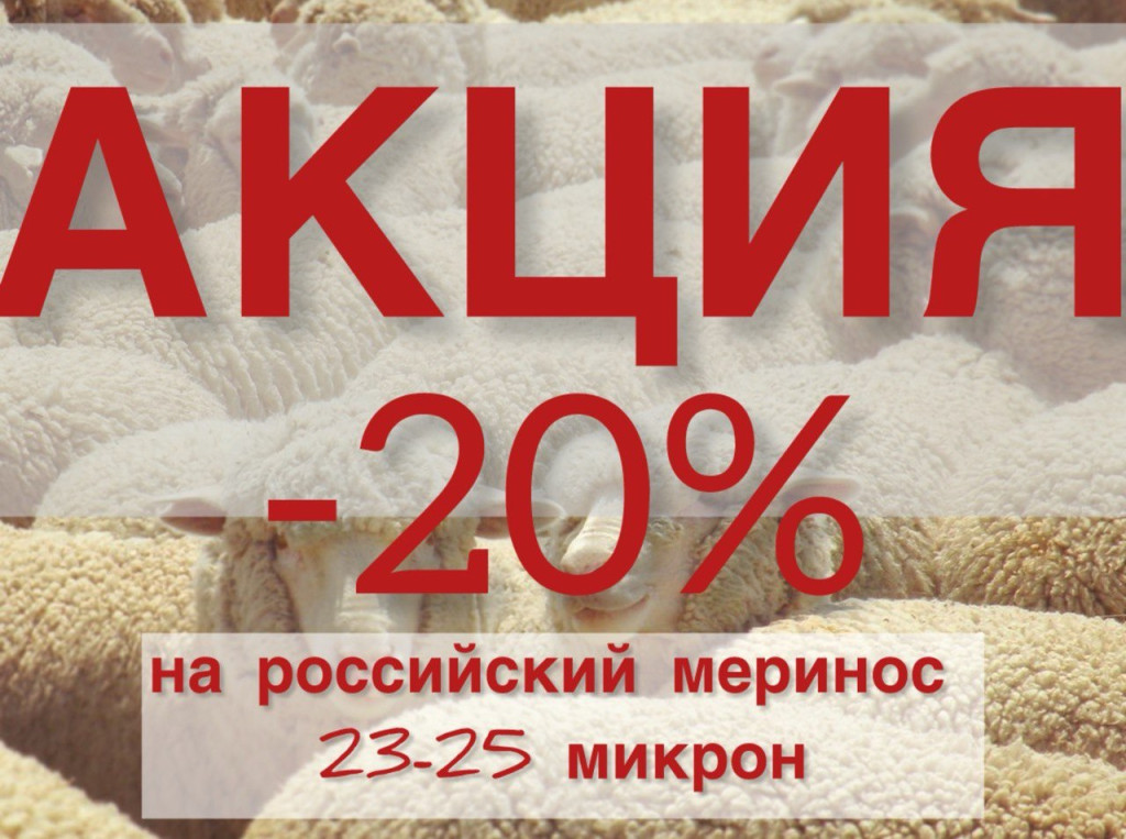 photo_2024-10-13 19.46.24.jpeg